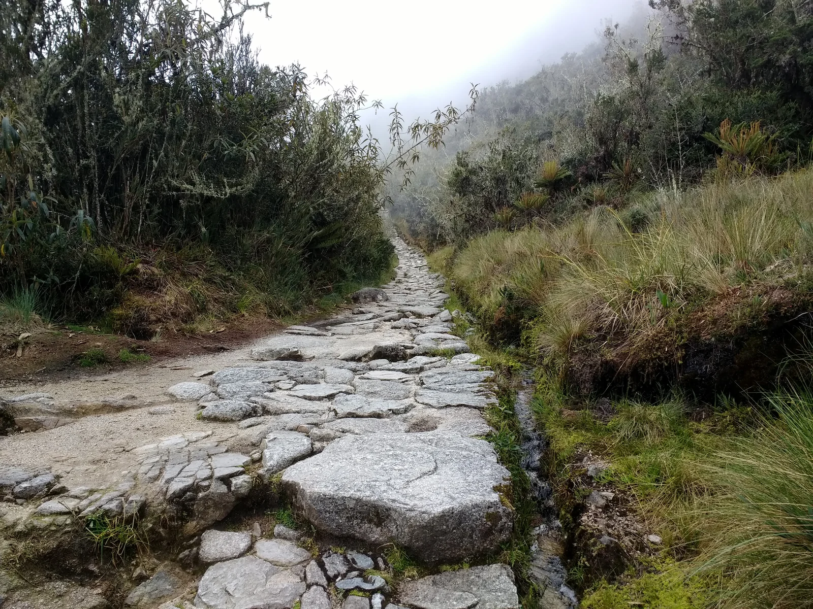 Caminho de pedras da Trilha Inca entre vegetação de montanha e neblina